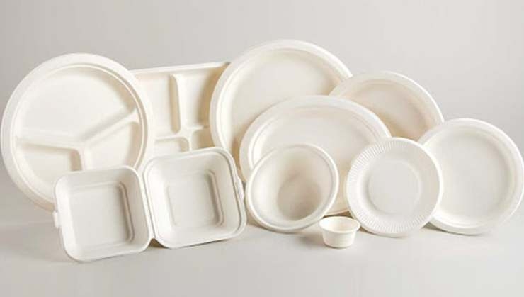 Bagasse Tableware
