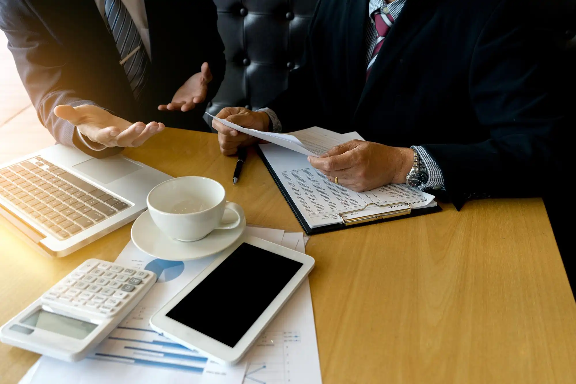 Professional tax litigation and representation support